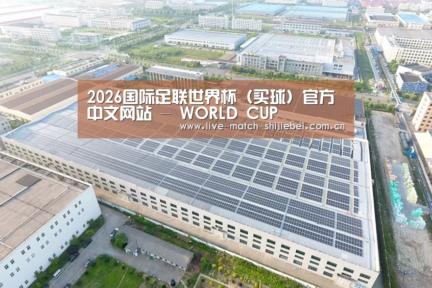 案例展示二