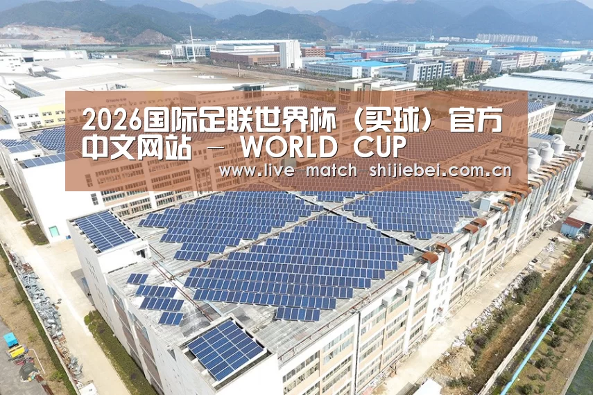 案例展示四